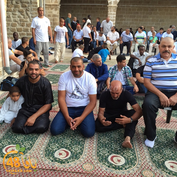 3ed ad7a ma7modiya (39).jpg